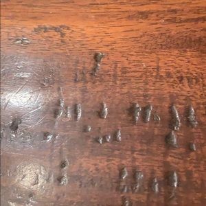 Meet your Posher, Jackson